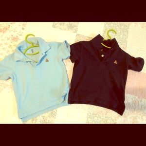 gap polo shirts with bear logo